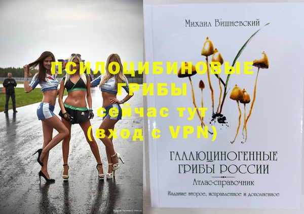 PSILOCYBIN Балахна